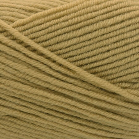 Cherished DK 100g - Image 25