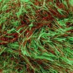 Tinsel Chunky 50g