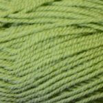 Stylecraft life dk yarn fern