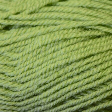 Stylecraft life dk yarn fern