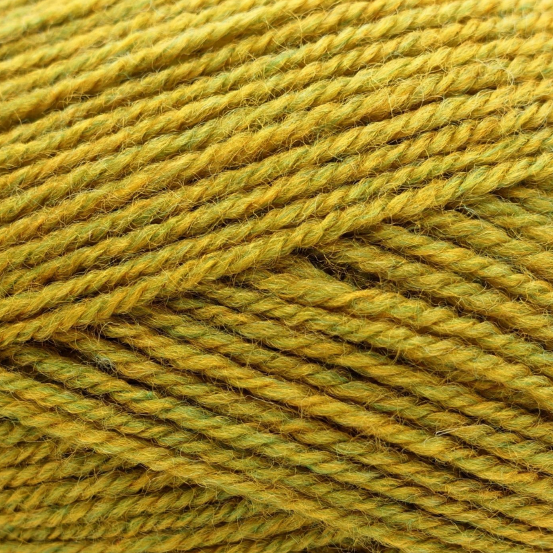 2496 Mustard