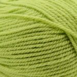 Stylecraft special aran yarn pistachio