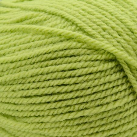 Stylecraft special aran yarn pistachio