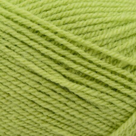 Stylecraft Special Chunky yarn pistachio