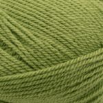 Stylecraft special yarn meadow green