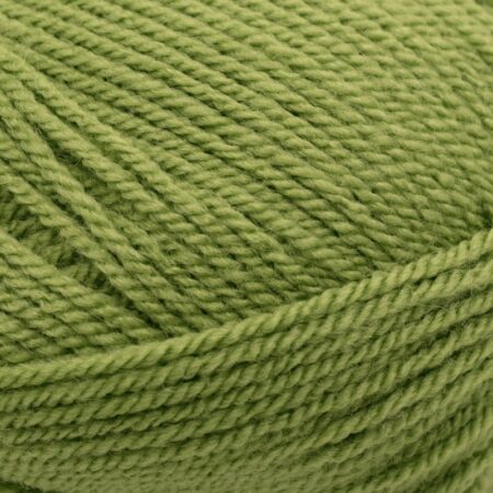 Stylecraft special yarn meadow green