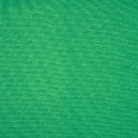 Cotton jersey rib green