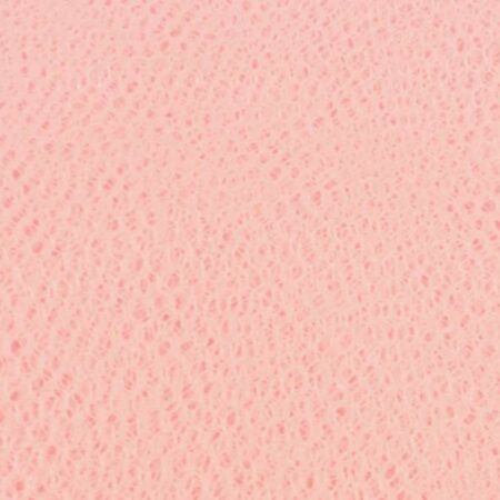 dress net fabric rose