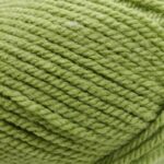 Stylecraft special aran yarn meadow