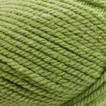 Stylecraft special aran yarn meadow