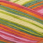 Wondersoft Merry Go Round DK 100g