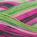 Wondersoft Merry Go Round DK 100g
