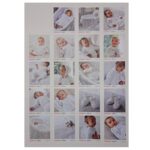 snuggly baby whites book