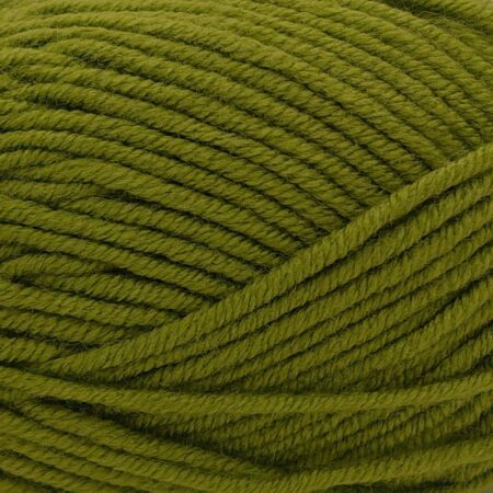 Bellissima Chunky 100g - Image 11