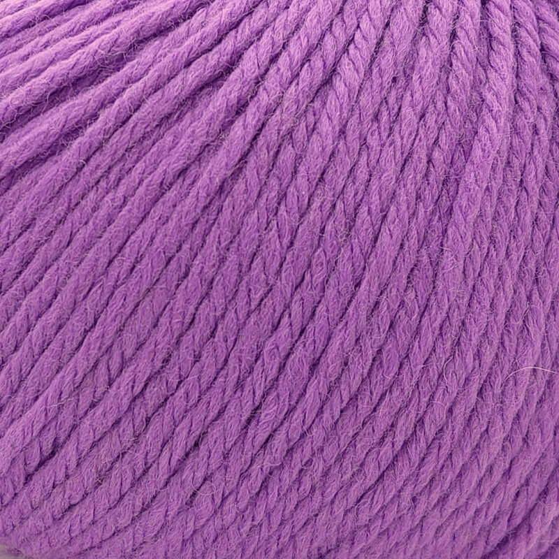 031 Purple