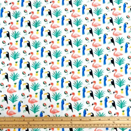 Tropical Birds - Image 2