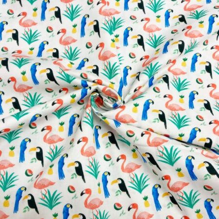 Tropical Birds