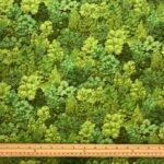 Landscapes, Trees and Leaves