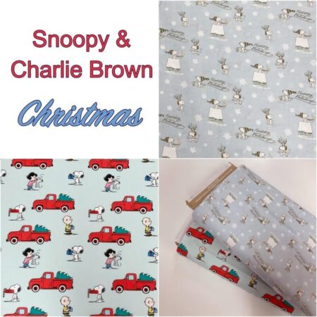Peanut Snoopy & Charlie Brown Christmas