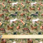 Horses
