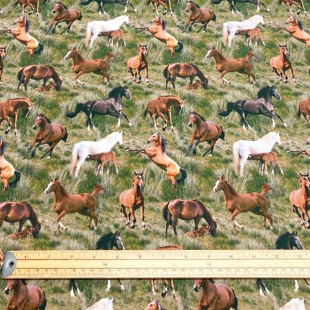 Horses - Image 3