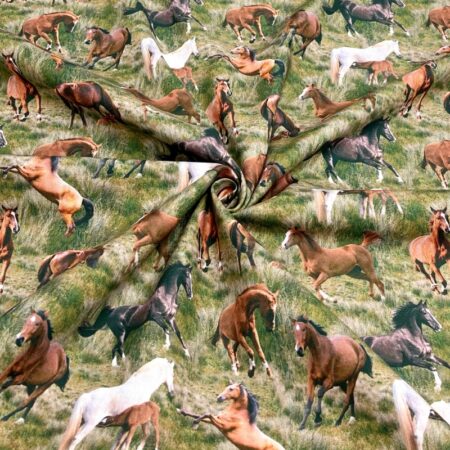 Horses