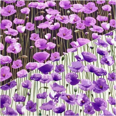 Purple Poppies