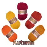 Special DK 5 x 100g Colour Packs