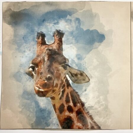 Printed Canvas Art Cushion Panels - Image 4