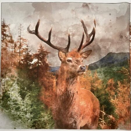 Printed Canvas Art Cushion Panels - Image 2