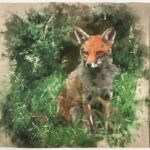 Animal Cushion Panels