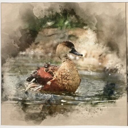 Printed Canvas Art Cushion Panels - Image 11