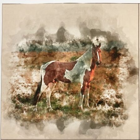 Printed Canvas Art Cushion Panels - Image 13