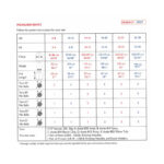 Stories Cotton Rich Blend DK 50g