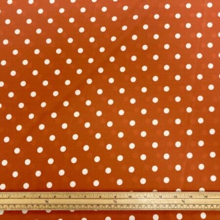 Papaya Spot - Image 5
