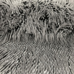 Guinea Faux Fur Black