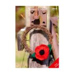 Easy Knit Poppy Pattern