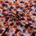 Sweet William