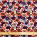 Sweet William