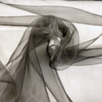 Organza
