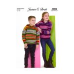 Fairground DK Hooded Sweater Pattern JB828