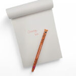 Legami Milano Grrreat Adventures Tiger 0.7mm Erasable Pens