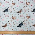 Birdsong