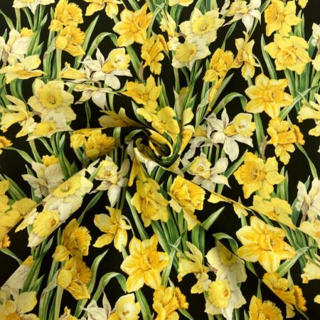 Daffodils - Image 4