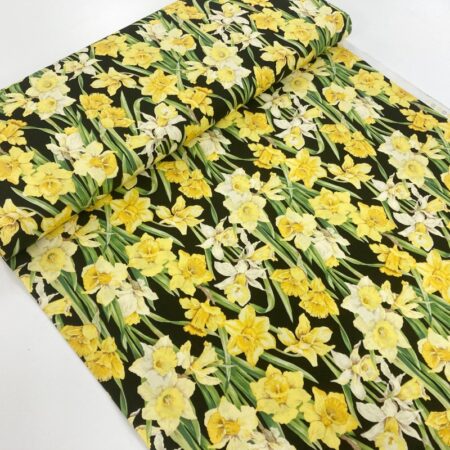 Daffodils