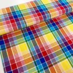 Rainbow Madras Check Cotton