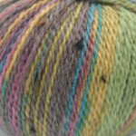 Homespun Prism DK 50g