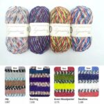 West Yorkshire Spinners Signature Country Birds 4 Ply 100g