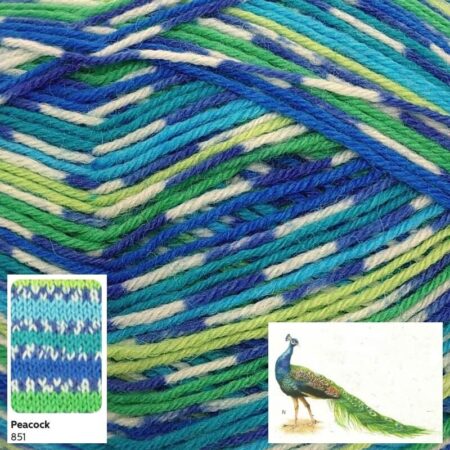 West Yorkshire Spinners Signature Country Birds 4 Ply 100g - Image 10