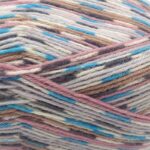 West Yorkshire Spinners Signature Country Birds 4 Ply 100g